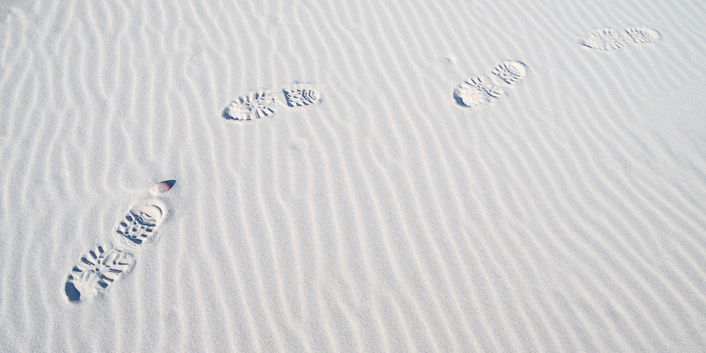<i>Prints in the sand,</i> Wisconsin, 2021.